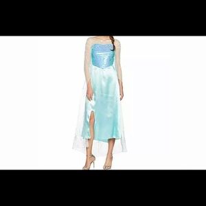 Elsa- Frozen Costume Adult Small